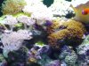 dsc01160_173.