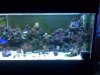 IMG00269.