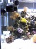 040709_2111[04].