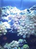 040709_2115[00].