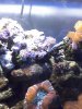 040709_2116[03].