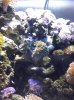 040709_2118[00].