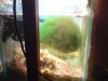 DSC00023.JPG