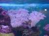 DSC02488_2816x2112.