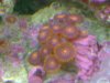 DSC02478_2816x2112.