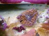 DSC02489_2816x2112.