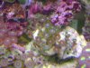 DSC02494_2816x2112.