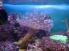 DSC02490_2816x2112_2225x1668.
