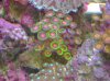 DSC02481_2816x2112.