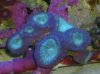 DSC02475_2816x2112.