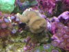 DSC02485_2816x2112.