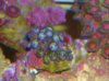 DSC02547_2225x1668.