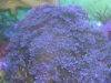 DSC02566_2225x1668.