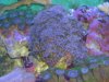 DSC02565_2225x1668.