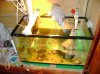 DSC02577_2225x1668.