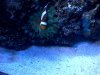 IMG-20120618-00203.