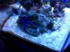 IMG-20120618-00197.