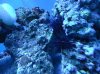 DSC00016.