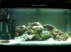 IMG_0054[1].