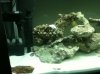 IMG_0055[1].