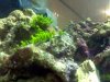 IMG_20120705_192201.