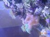 DSCN4451.