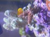 DSCN4468.