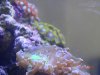 DSCN4481.