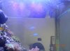 DSCN4482.