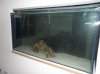 SAM_0470.