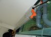 SAM_0504.