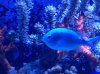 IMG_3855.