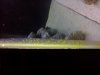 IMG00408-20120814-2115.