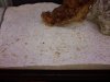 IMG00410-20120814-2116.