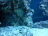 IMG_20120709_161856.