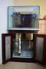 pecera-de-175-litros-especial-para-arrecife_MLM-F-3110981526_092012.