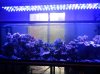 IMG_20120920_072801[1].