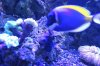 DSCN0204[1].
