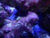 IMG_20130108_161059.