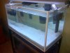 IMG-20121112-00058.