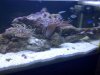IMG-20130120-00220.