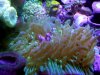 DSCN1776.