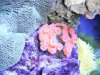 DSCF9312.