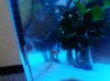 2013-05-06_07-38-39_854.