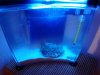 2013-05-08_07-27-12_165.
