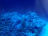 2013-05-08_07-27-26_647.