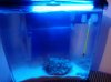 2013-05-08_07-37-29_789.