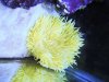 DSCF9313.