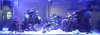 DSCF0153.