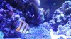 DSCF0347.